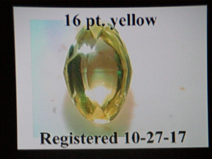 IMG_3738.PNG
