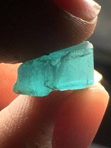 IMG_2527.JPG