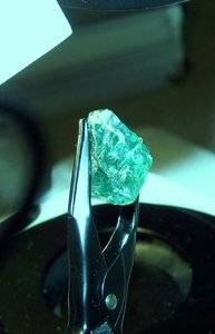 nigerian%2520paraiba%2520.jpg