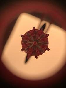 IMG_8745.jpg