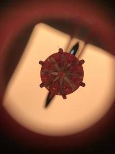 IMG_8744.jpg