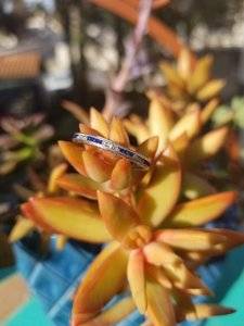 20171113_135931.jpg
