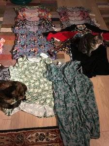 IMG_3237.JPG