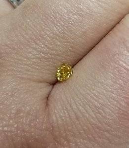 20171118_230143.jpg