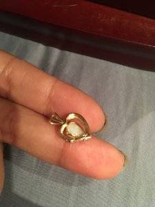 IMG_3599.JPG IMG_3599.JPG