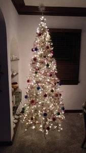 20171120_221640_resized.jpg
