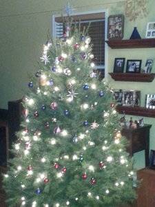 tree2013.jpg