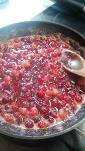 cran sauce.jpg