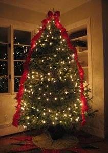 IMG_2509.jpg
