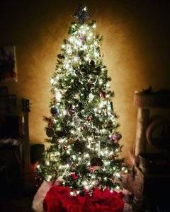 tree2017.jpg