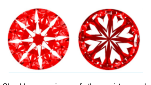 IMG_1915.PNG