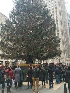 Rockefellertree2015.jpeg