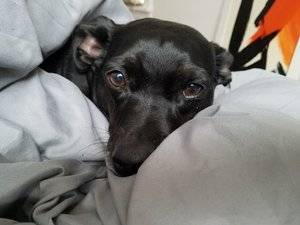20171119_092106.jpg