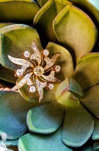 diamondbrooch4.jpg