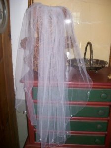 veil on bear.jpg
