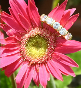 Flower Pic 2.jpg