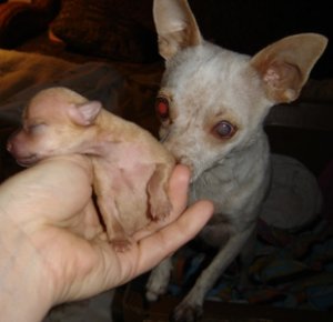 mom and son chi.jpg