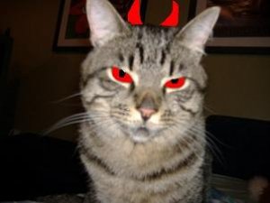 smokeyisevil.JPG