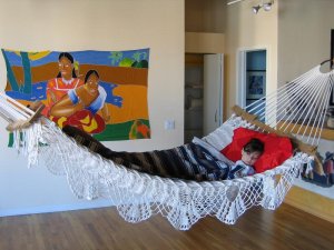 hammock2552a.JPG