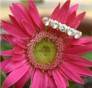 Flower pic 1.jpg