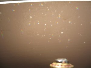 IMG_7039.jpg
