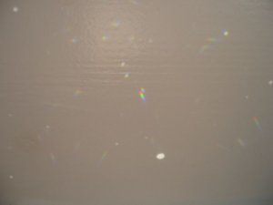 IMG_7053.jpg