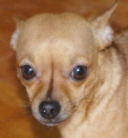 my baby chi for ps.jpg