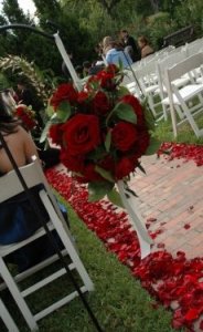 Red roses.jpg