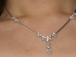 wlftrsnecklace2.jpg