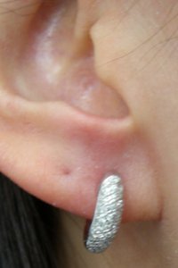 wlftrspaveearrings.jpg