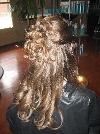 smallbackofhair.jpg smallbackofhair.jpg