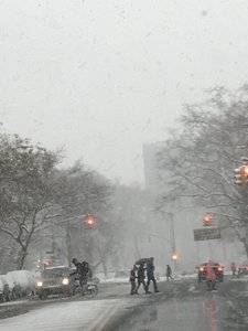brooklynsnowdec2017.jpeg brooklynsnowdec2017.jpeg