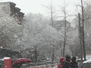 brooklynstreetssnowdecember2017.jpg brooklynstreetssnowdecember2017.jpg