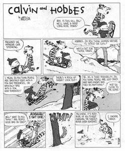 calvinandhobbespeoplearecrazy.jpg