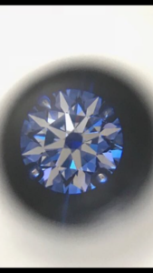 IMG_5036.PNG