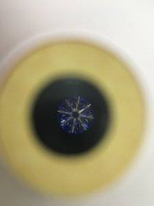 IMG_3261.JPG IMG_3261.JPG