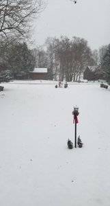 Christmas upstate.jpg