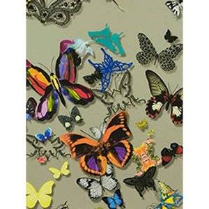 023cdfc21428c3d1a305f370c8e00acf--butterfly-wallpaper-wallpaper-online.jpg