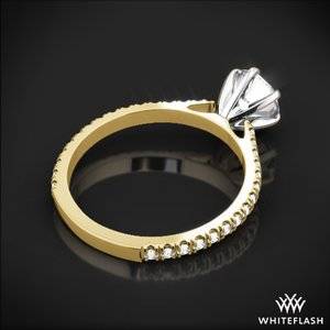 Cathedral-French-Set-Eternity-Diamond-Engagement-Ring-in-Yellow-Gold_gi_3425_5-54534.jpg