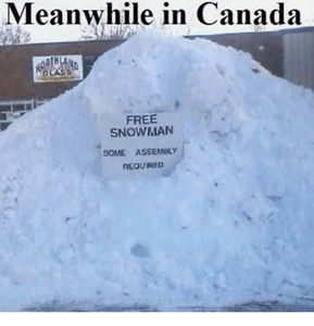 meanwhile-canada-free-snowman-some-assembly-required-11955450.png
