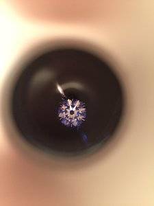 IMG_2810.JPG IMG_2810.JPG