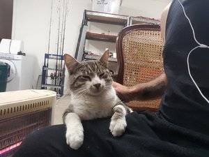 20171224_060234.jpg