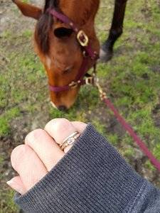 20180123_143847.jpg