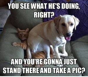 just take a pic.jpg