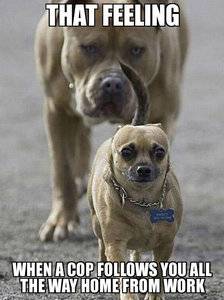 Being followed.jpg