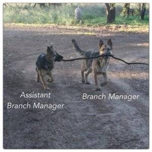 Branch Manager.jpg