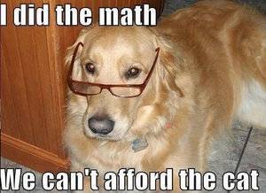 dog-math-meme.jpg