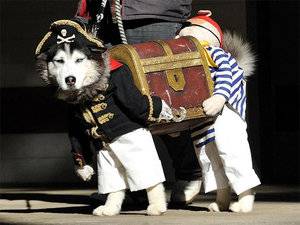 Two-Pirates-Carrying-Treasure.jpg