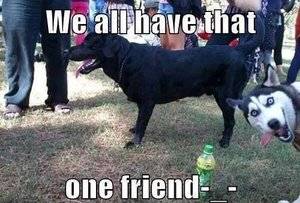 That one friend.jpg