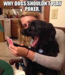 poker face.jpg